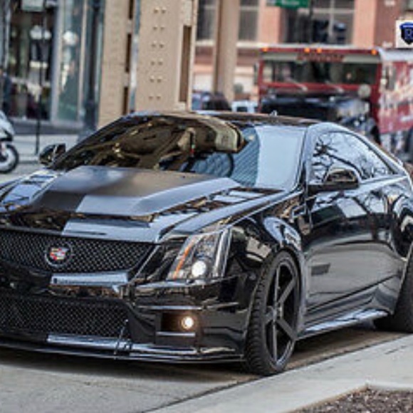 Meet your Posher, Cat - Picture 4 of 8